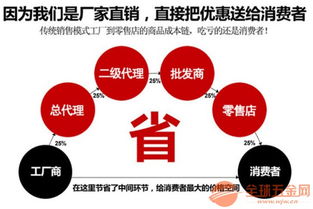 专业实力与创新应用 乐山皮带输送机制造厂全方位服务解析